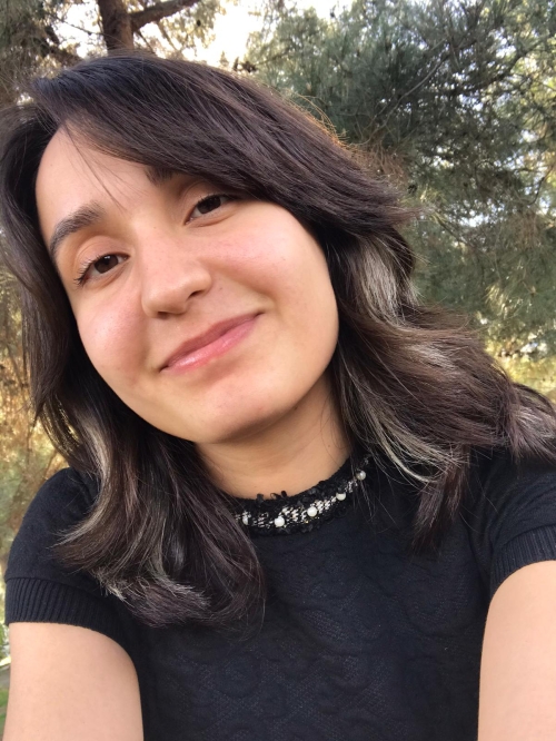 barin güneş öncü